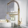 New Single Handle kitchen faucet with pull-down kitchen faucet Gold